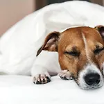 Hotel Garner - Spandau By Ihg