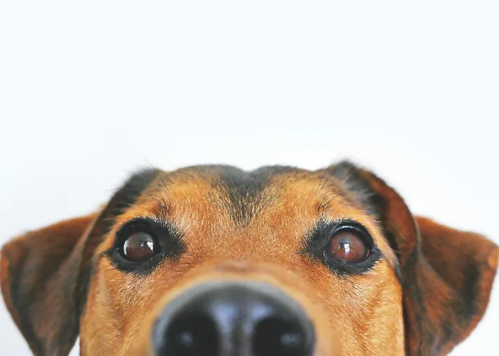 Garner - Spandau By Ihg Berlijn