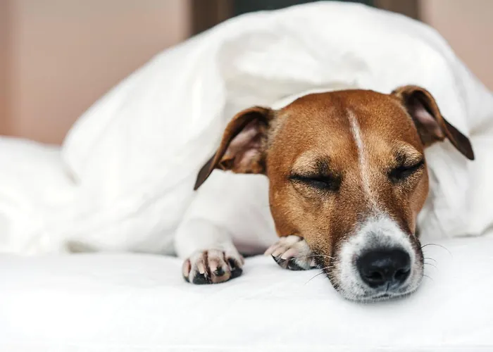 Hotel Garner - Spandau By Ihg